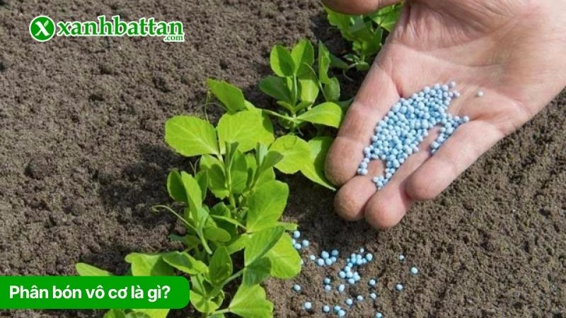 Phân bón vô cơ là gì?