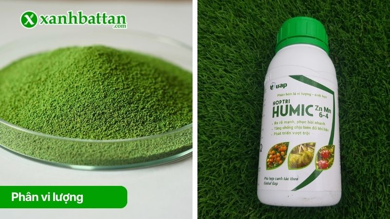 Phân bón vi lượng