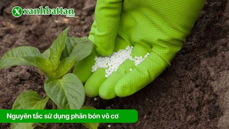 Nguyên tắc sử dụng phân bón vô cơ