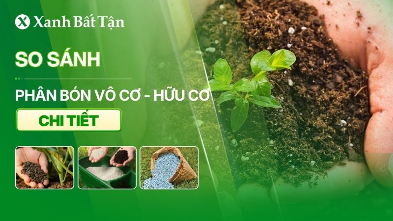 So sánh phân bón vô cơ và phân bón hữu cơ chi tiết