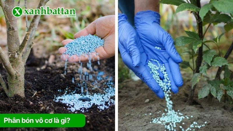 Phân bón vô cơ là gì? Tìm hiểu công dụng?