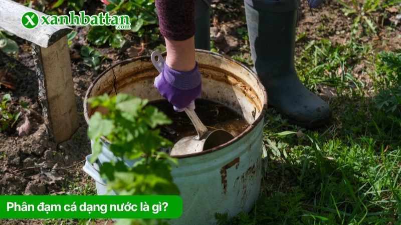 Phân đạm cá dạng nước là gì?