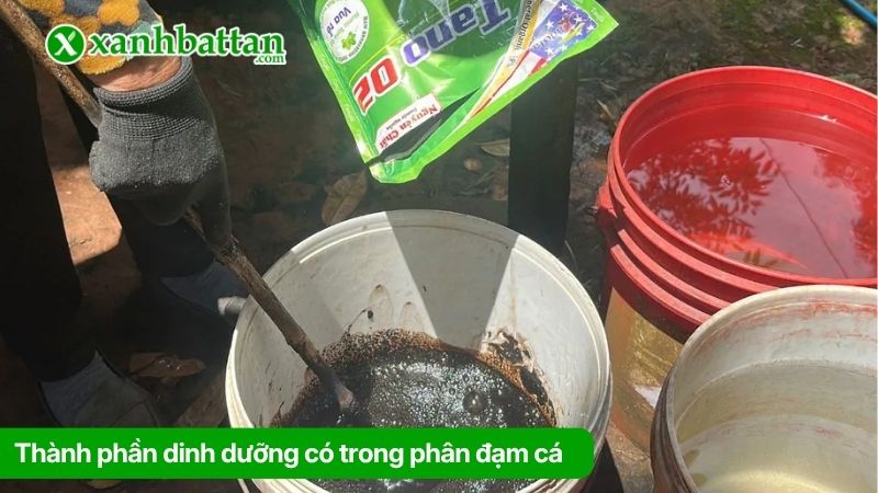 Thành phần dinh dưỡng có trong phân đạm cá