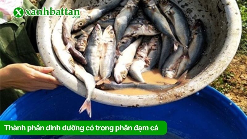 Thành phần dinh dưỡng có trong phân đạm cá