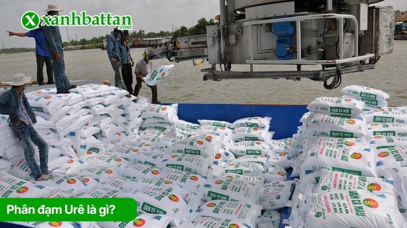 Tìm hiểu về phân đạm Urê