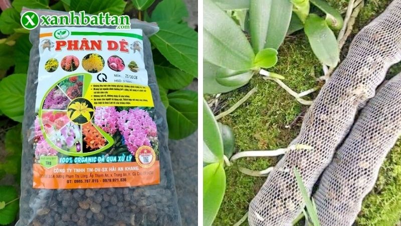 Lưu ý khi sử dụng phân dê hữu cơ bón cho cây