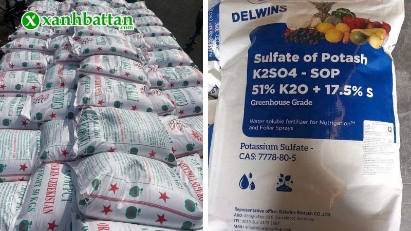 Phân loại phân kali phổ biến hiện nay