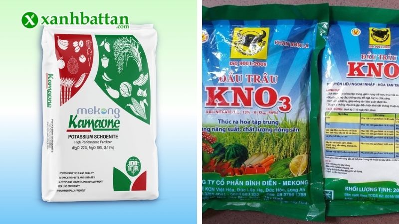 Phân loại phân kali phổ biến hiện nay