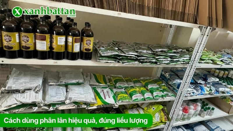 Xanh Bất Tận - Địa chỉ mua phân lân chăm sóc cây giá tốt tại TP.HCM