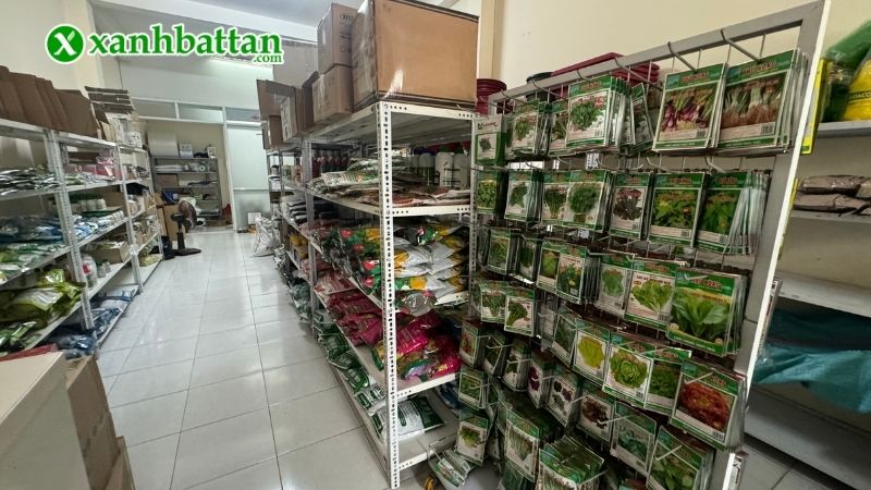 Địa chỉ mua hạt giống rau é trắng uy tín tại TP.HCM?