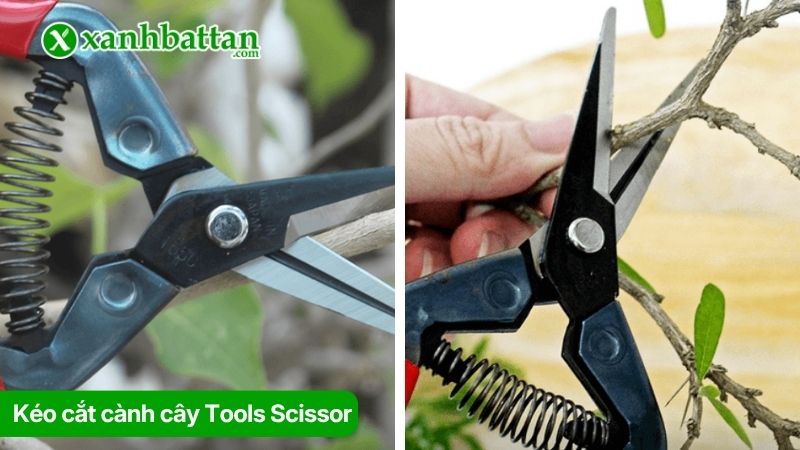 Kéo cắt cành cây Tools Scissor, chất liệu thép siêu bền, siêu bén