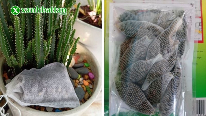 Cách 1: Bón phân dơi cho hoa Hồng bằng túi lọc