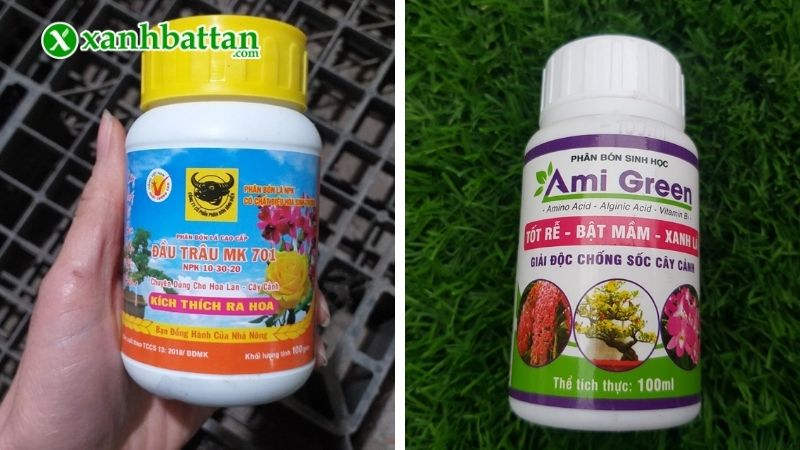 Cách 1: Sử dụng phân bón Đầu trâu kết hợp vitamin B1