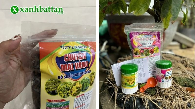 Cách 2: Sử dụng phân bón, thuốc kích nụ