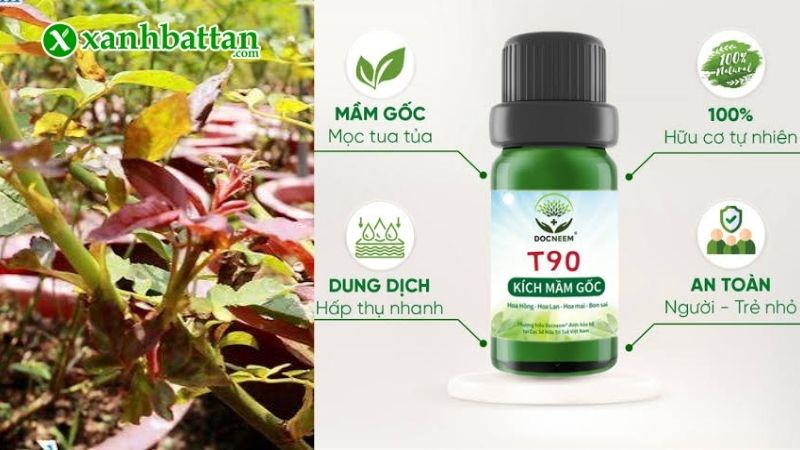 Lưu ý khi sử dụng thuốc kích mầm Enzyme T90