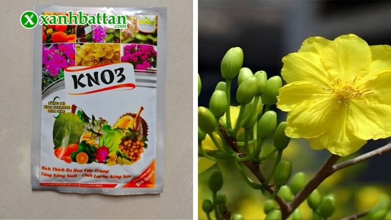 Phân bón Kali trắng (KNO3) siêu kích hoa