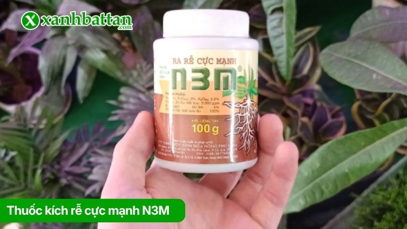 Thuốc kích rễ cực mạnh N3M