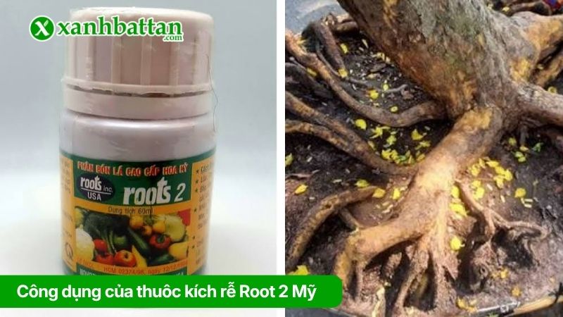 Công dụng của thuôc kích rễ Root 2 Mỹ