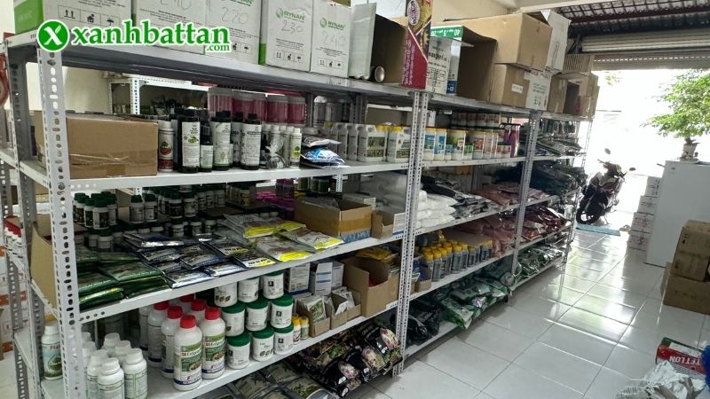 Mua thuốc kích rễ Root 2 cho Mai vàng ở đâu giá tốt tại TP.HCM?