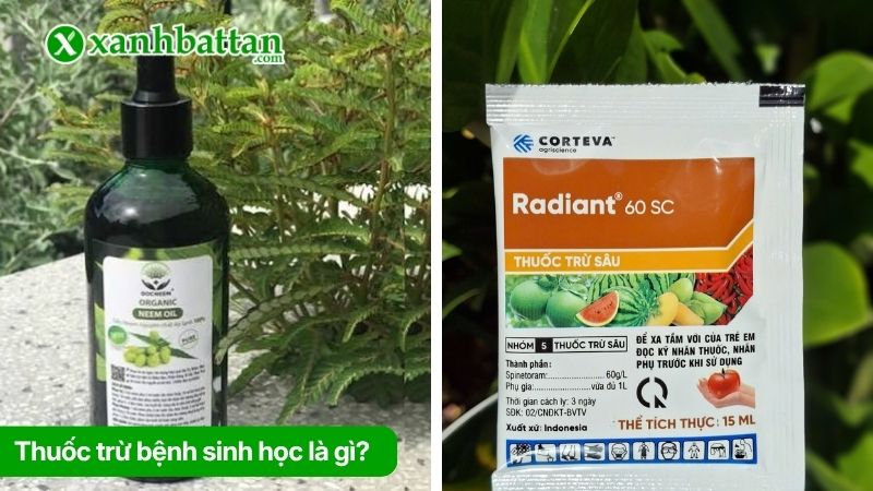 Thuốc trừ bệnh sinh học
