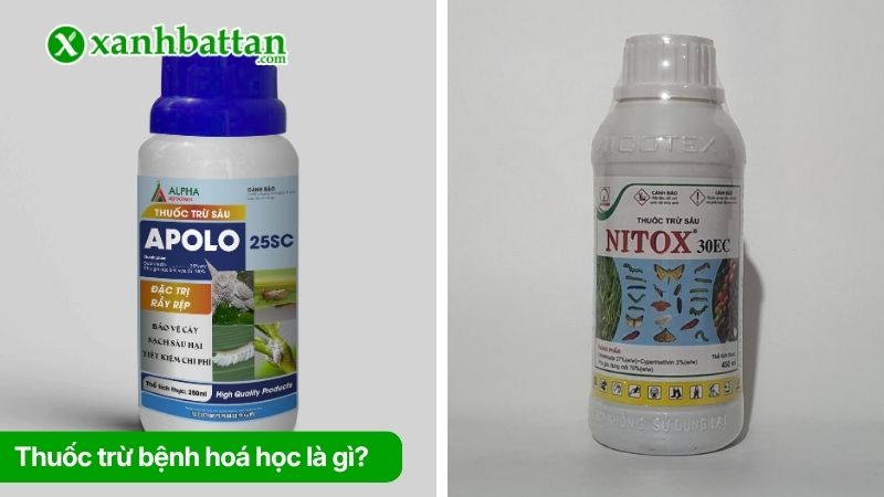 Thuốc trừ bệnh hoá học