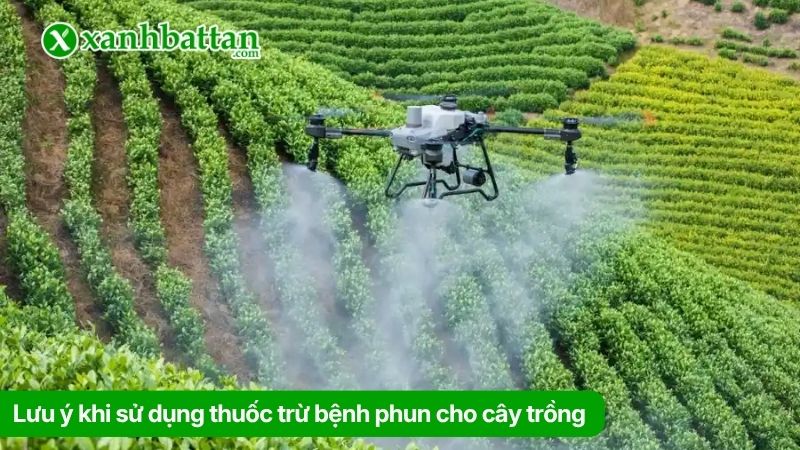 Lưu ý khi sử dụng thuốc trừ bệnh phun cho cây trồng