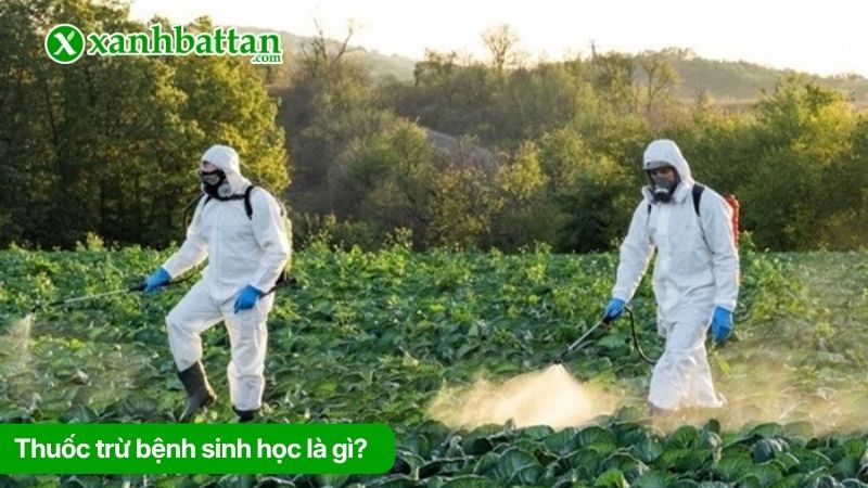 Thuốc trừ bệnh sinh học cho cây trồng là gì?