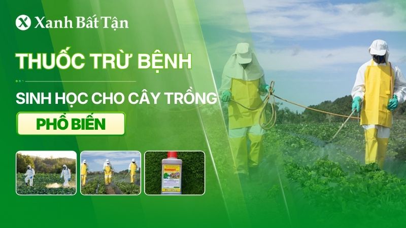 Thuốc trừ bệnh sinh học cho cây trồng phổ biến hiện nay