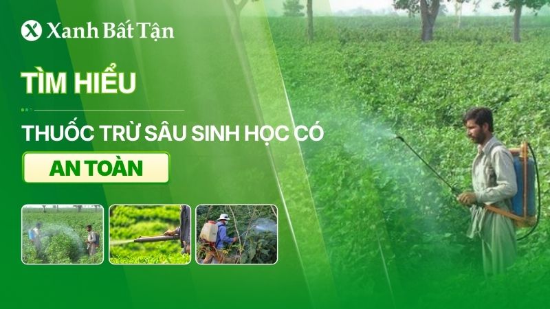 Tìm hiểu thuốc trừ sâu sinh học có độc không?