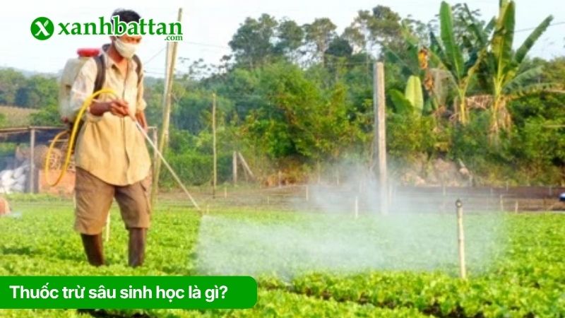 Thuốc trừ sâu sinh học là gì?