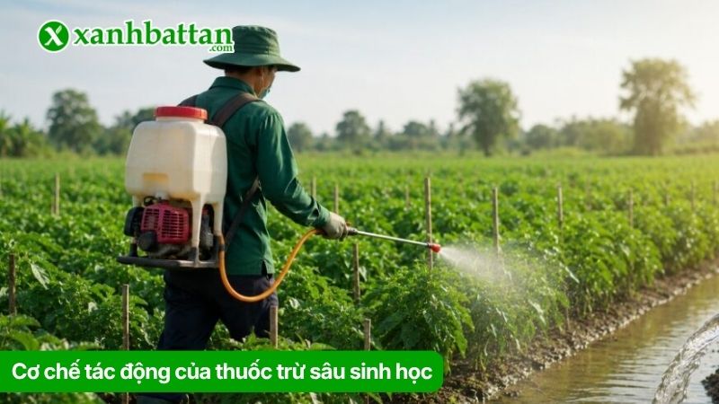 Cơ chế tác động của thuốc trừ sâu sinh học