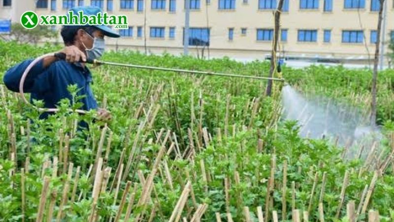Vậy thuốc trừ sâu sinh học có độc không?