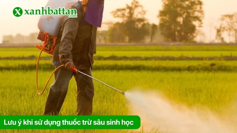 Lưu ý khi sử dụng thuốc trừ sâu sinh học