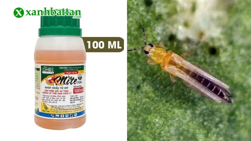 Thuốc trừ sâu sinh học GC Mite 70SL