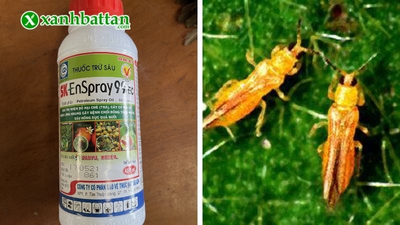 Dầu khoáng sinh học SK Enspray 99EC
