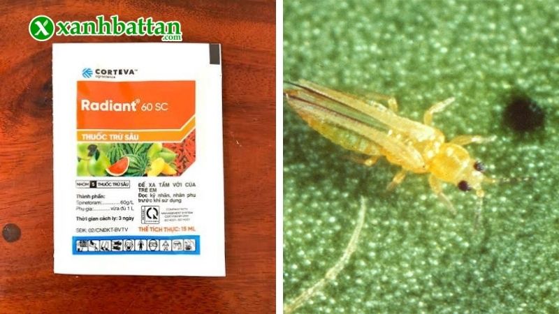Thuốc trừ sâu sinh học Radiant 60SC