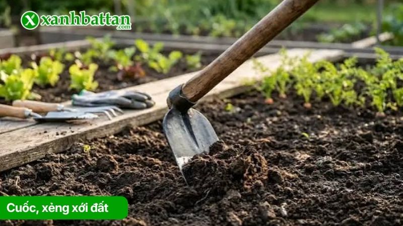 Cuốc, xẻng xới đất
