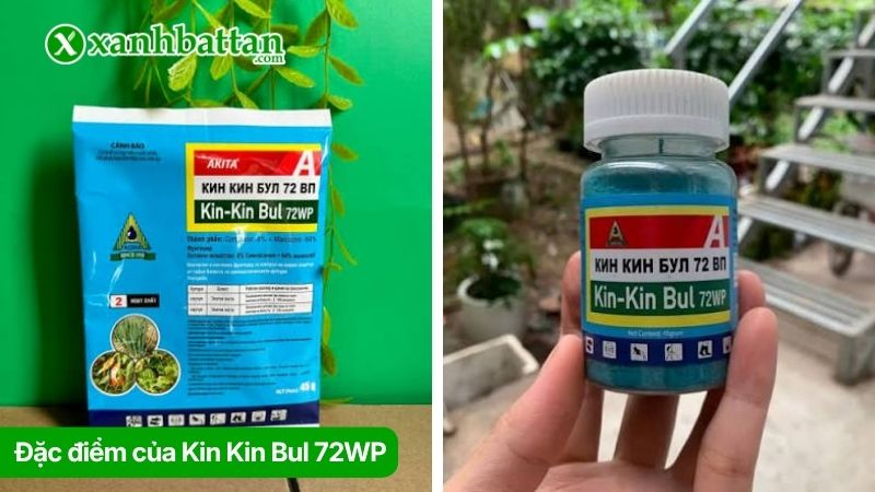 Tìm hiểu về thuốc trị thối nhũn cho Lan Kin Kin Bul 72WP