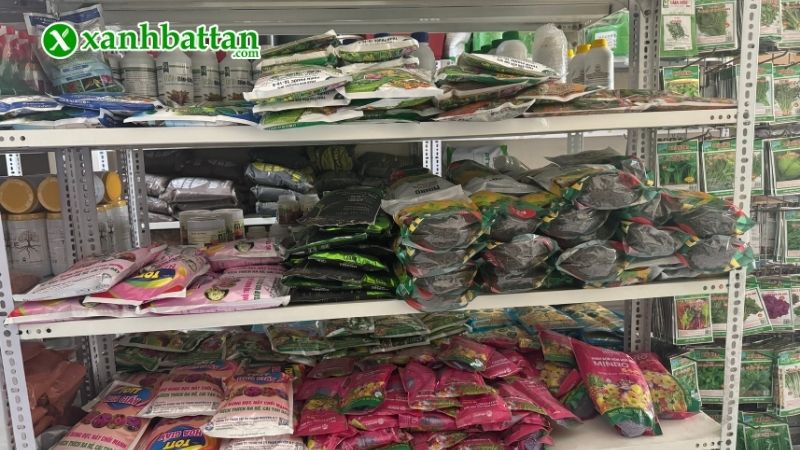 Xanh Bất Tận - Địa chỉ mua thuốc trị thối nhũn cho Lan giá tốt tại TP.HCM