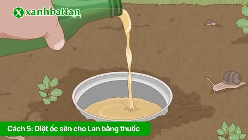 Cách 5: Diệt ốc sên cho Lan bằng thuốc diệt ốc chuyên dụng