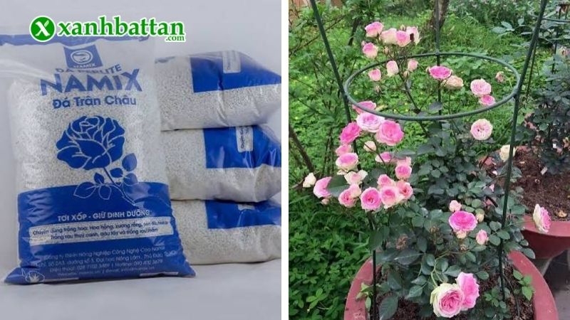 Giá thể đá trân châu (đá Perlite)