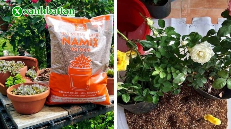 Giá thể đá vơ mi (đá Vermiculite)