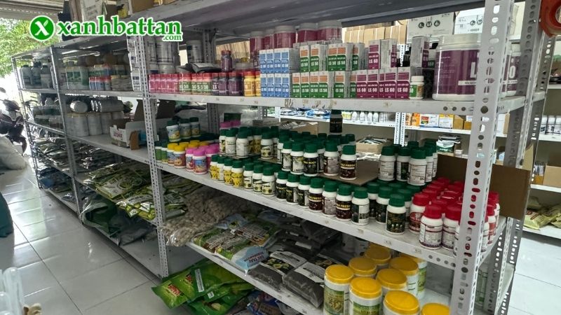 Xanh Bất Tận - Địa chỉ mua thuốc kích hoa cho Lan giá tốt tại TP.HCM