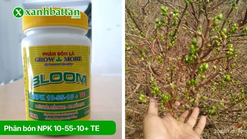 Phân bón NPK 10-55-10+ TE