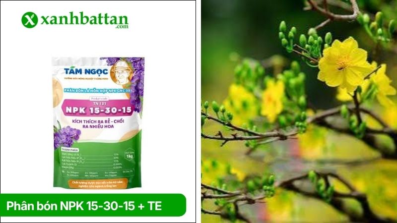 Phân bón NPK 15-30-15 + TE