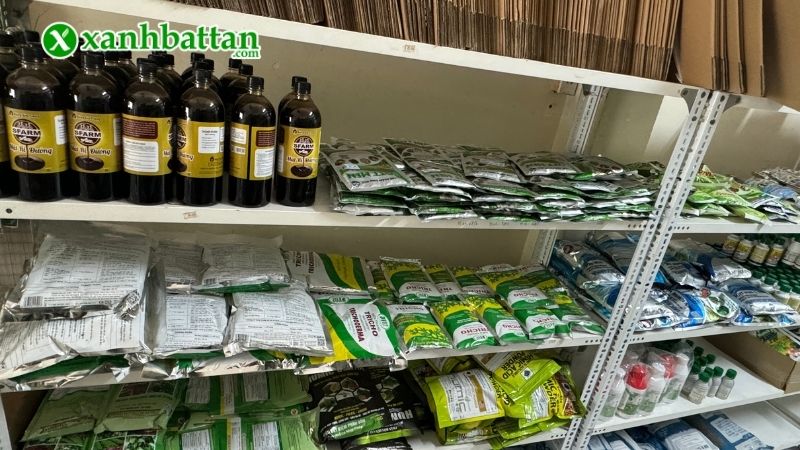 Xanh Bất Tận - Địa chỉ mua thuốc trị thối nhũn cho Lan giá tốt tại TP.HCM