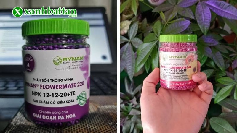 Rynan 220, 240 - Chuyên dụng cho giai đoạn ra hoa