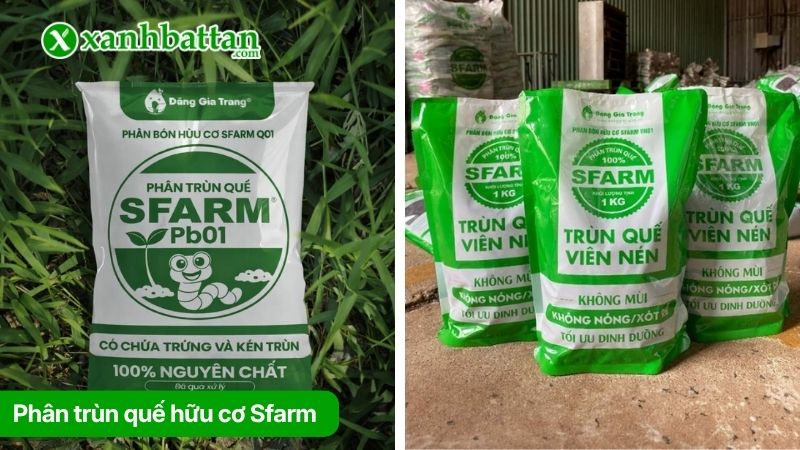 Phân trùn quế hữu cơ Sfarm