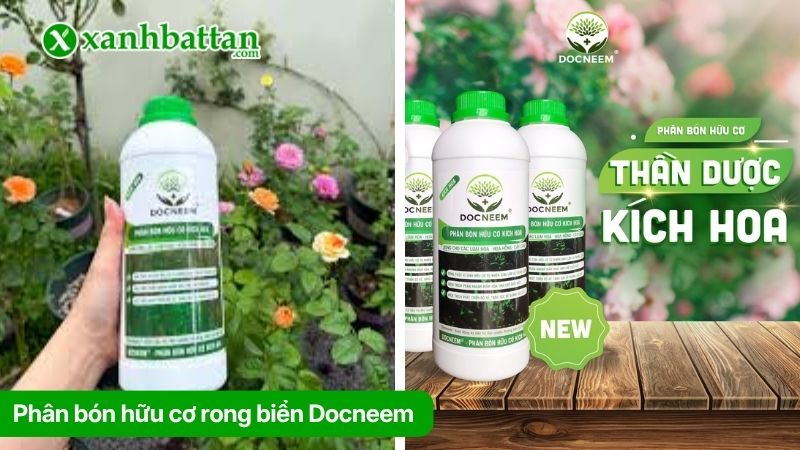 Phân bón hữu cơ rong biển Docneem