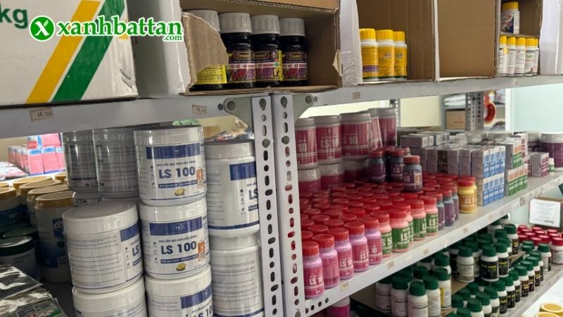 Xanh Bất Tận - Địa chỉ mua thuốc kích rễ cho Lan giá tốt tại TP.HCM